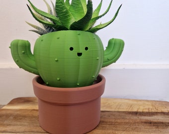 house plants dracena Dracaena Dragon Tree Green, Tree Form main image 0