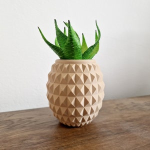 Pineapple Planter |Succulent planter|Air Planter|Pineapple|Modern Planter|Geometric Shape Planter|Cute Planter|Indoor Planter|Cactus Planter