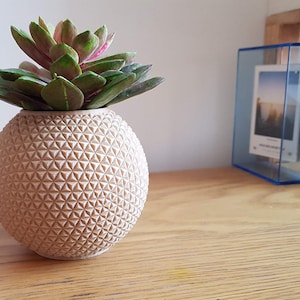 Op de afbeelding: Een vetplant in een beige, bolvormige pot met een geometrisch patroon. De pot is gemaakt van een getextureerd materiaal en heeft een gladde, ronde vorm.