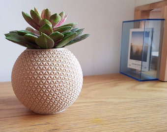 Geometric Succulent Planter: Modern Low Poly Epcot Inspired Design