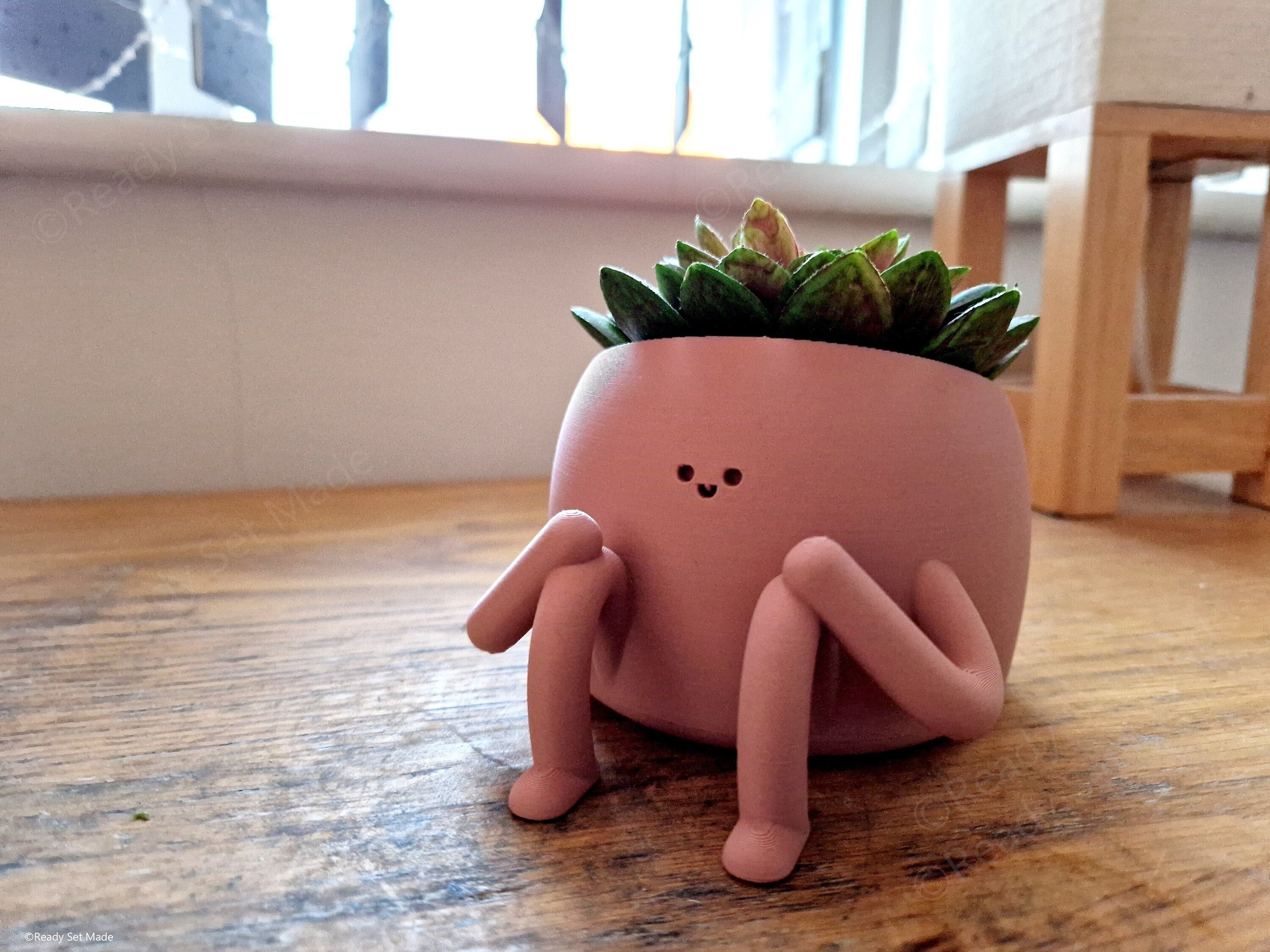 Positivity Pot – Smiling Plant Pot | Cute Indoor Planter | Unique Gift for Plant Lovers | Supportive Desk Buddy | Happy Pot Pal