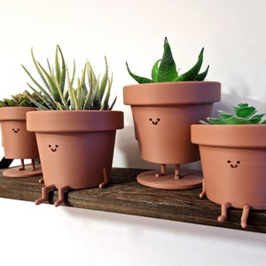 May include: Four terracotta pots with smiling faces and legs, holding various green plants. The pots are arranged on a wooden shelf.