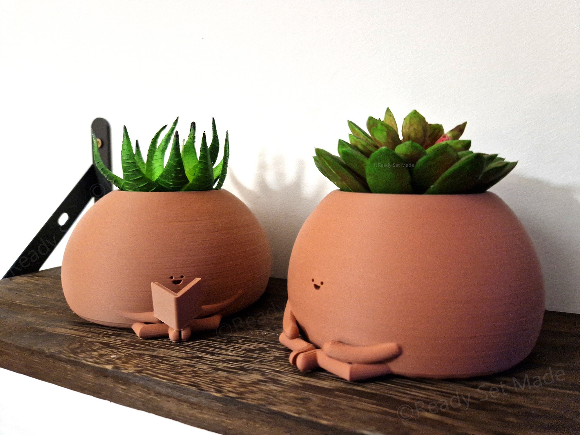 Reading Pot Planter | Bookworm Succulent & Cactus Pot - Etsy