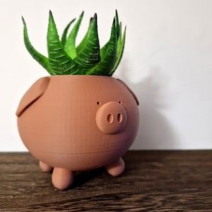 Pig Planter Piggy Planter Animal Planter Cute Planter Indoor Planter Cactus Planter Gift Present Container Pot Succulent image 3