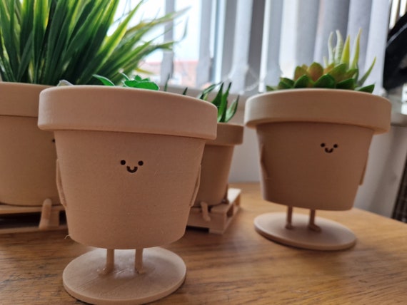 Pots pour plantes