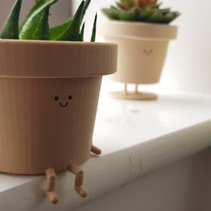 May include: Two brown ceramic planters with painted-on faces and legs. The planter on the left has a green succulent plant inside. The planter on the right is empty.
