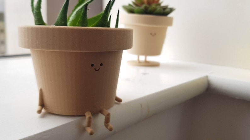 May include: Two brown ceramic planters with painted-on faces and legs. The planter on the left has a green succulent plant inside. The planter on the right is empty.