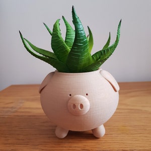 Pig Planter Piggy Planter Animal Planter Cute Planter Indoor Planter Cactus Planter Gift Present Container Pot Succulent image 10