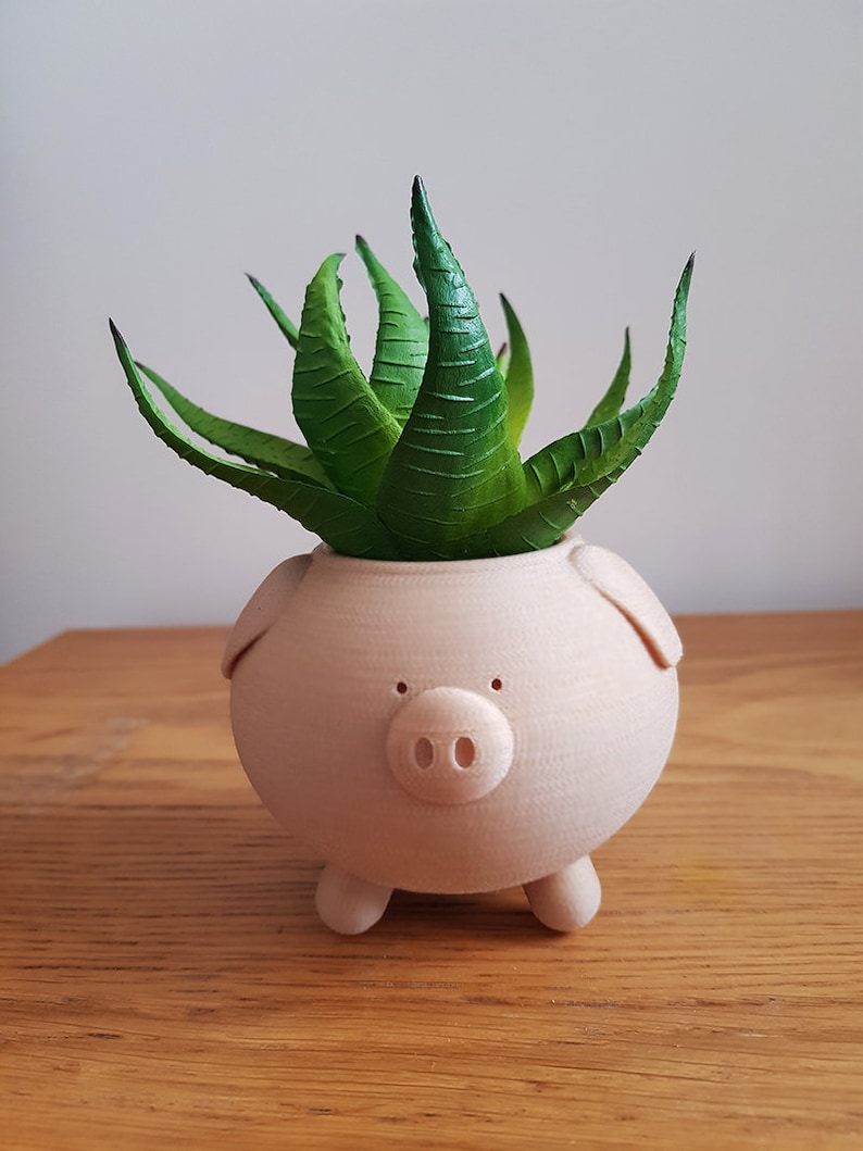 Pig Planter Piggy Planter Animal Planter Cute Planter Indoor Planter Cactus Planter Gift Present Container Pot Succulent image 10