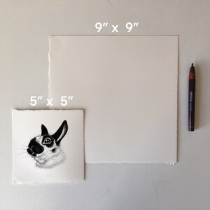 Custom animal drawing