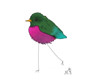 Postcard Little bird with a pink belly