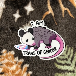 Adesivo Trans de Gênero