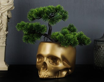 Skull Plant Pot - Bonsai Tree