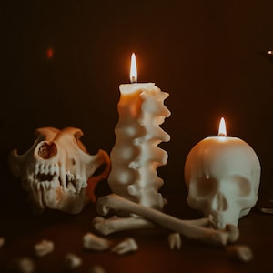 Pu&ograve; includere: Tre candele bianche, una a forma di colonna vertebrale, un'altra a forma di teschio e una terza a forma di candela tradizionale, sono accese in una stanza buia. Le candele sono su un tavolo con un teschio di animale bianco e ossa sparse intorno.