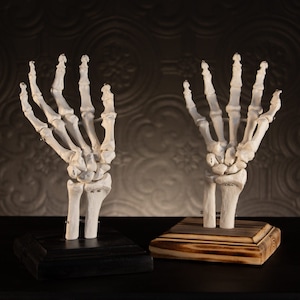 Skeleton Ring Holder Gothic Jewellery Stand Ring Tree By The Blackened Teeth image 3