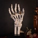 see more listings in the The Bone Collection section