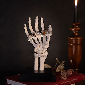 skeleton hand jewellery stand gothic home decor the blackened teeth skull ring