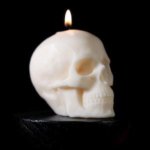 Candela teschio anatomico / Regalo di Halloween / Candele gotiche / Arredamento gotico per la casa / Candele anatomiche / Fatte a mano da The Blackened Teeth