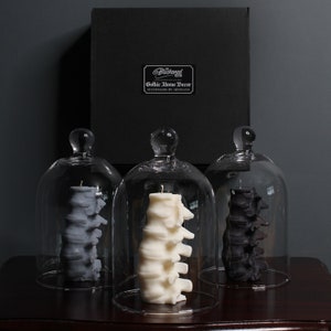 Puede incluir: Tres campanas de cristal con velas con forma de columna vertebral humana. Las velas son grises, blancas y negras. Las campanas están sobre una superficie de madera oscura. La etiqueta en la caja detrás de las campanas dice "Gothic Home Decor Handmade by Artisans".
