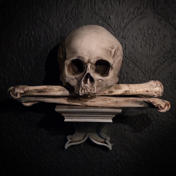 Ménsula de calavera de osario - Natural / Decoración de pared gótica / Colección The Blackened Ossuary / por The Blackened Teeth / Decoración gótica para el hogar