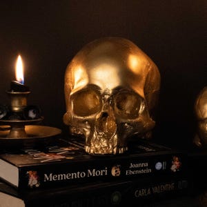 May include: A gold-painted human skull sits on top of a stack of books. The top book has the title "Memento Mori" and the author's name "Joanna Ebenstein".