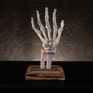 Skeleton Ring Holder Gothic Jewellery Stand Ring Tree By The Blackened Teeth image 7