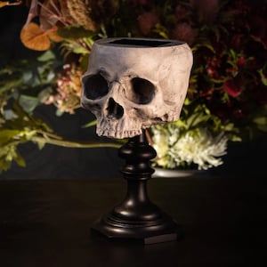 Jane Doe Skull Ring Holder Plinth | Skull Ring Display | Skull Jewellery Stand | Gothic Home Decor by The Blackened Teeth