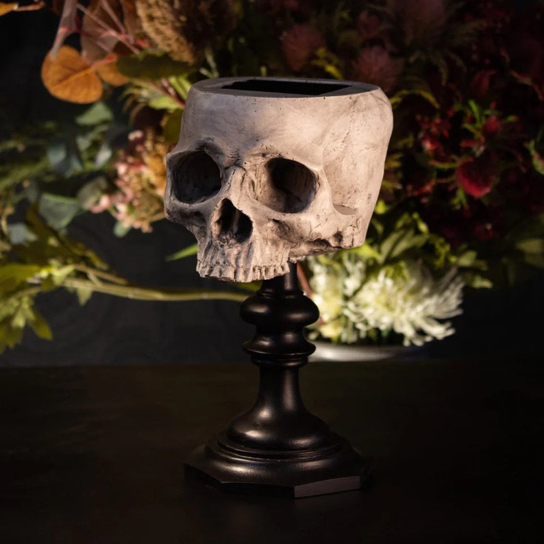 May include: A white human skull on a black pedestal. The skull is positioned with the top of the head facing the viewer. The skull is on a black pedestal with a round top and a square base.