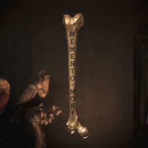 Memento Mori | Engraved Human Replica Bone | Gothic Home Decor by The Blackened Teeth | Death Decor