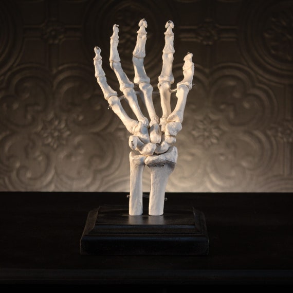 Skeleton Ring Holder Gothic Jewellery Stand Ring Tree by the