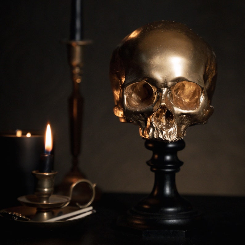 aureate gold skull plinth skull decor the blackened teeth gothic home decor