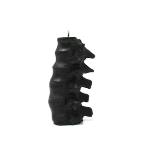 Pu&ograve; includere: Candela nera a forma di colonna vertebrale umana. La candela &egrave; fatta di cera e ha un design dettagliato.