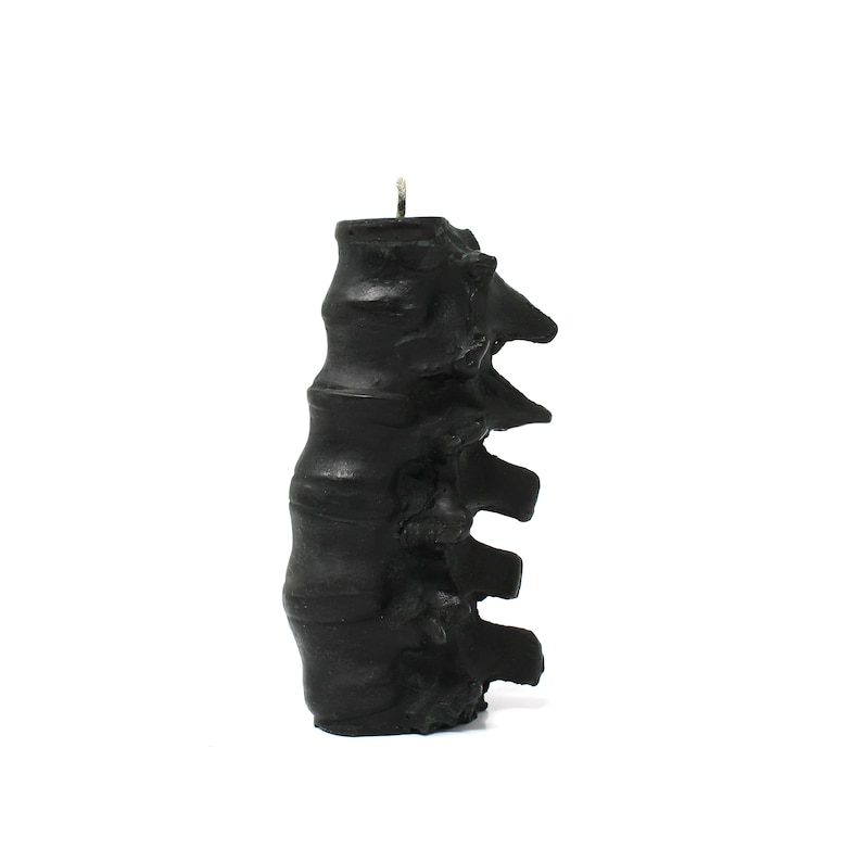 Pu&ograve; includere: Candela nera a forma di colonna vertebrale umana. La candela &egrave; fatta di cera e ha un design dettagliato.
