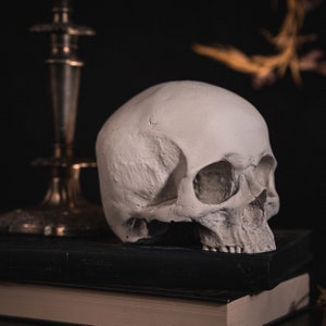 SKULL OF J.DOE Ornament | Human Skull Replica - Gothic Home Decor