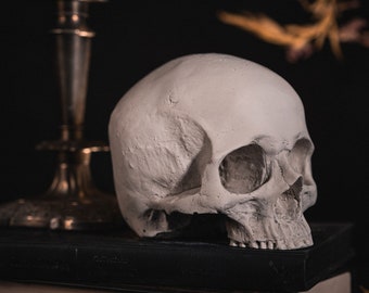 SKULL OF J.DOE Ornament | Human Skull Replica - Gothic Home Decor