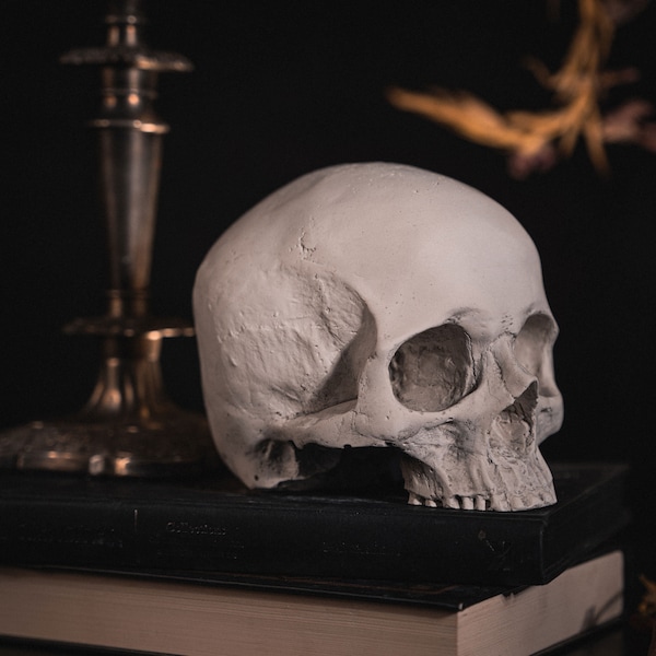 SKULL OF J.DOE Ornament | Human Skull Replica - Gothic Home Decor