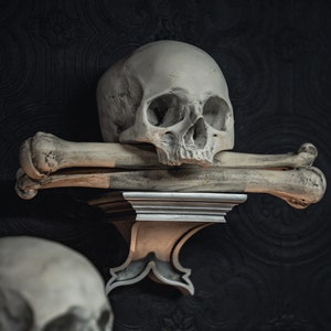 Ossuary Skull Corbel Gothic Wall Decor The Blackened Ossuary collection by The Blackened Teeth Gothic Home Decor image 3