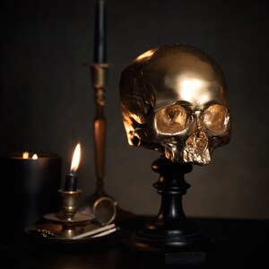 aureate gold skull plinth skull decor the blackened teeth gothic home decor