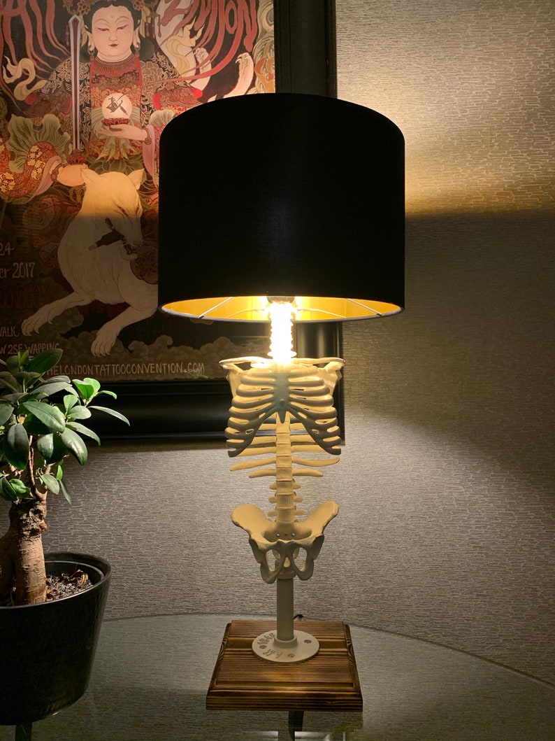 Skeleton Table Lamp Unique Lamp Anatomy Decor Etsy