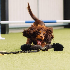 Pawsmade™ Waggle Extra long bungee Squeaker Sheep Rabbit & Faux Dog Training toy