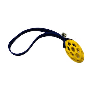 Paws Mini Rugby Ball with Webbed Handle Agility Flyball Dog Training Tug Toy
