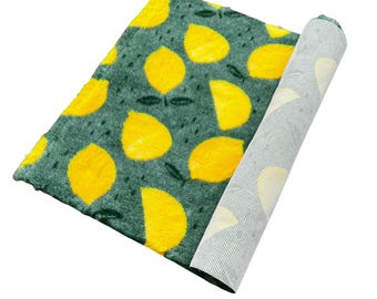 Lemon Design Dog Bed Mat: Green Moisture-Wicking Vet Bed Bedding