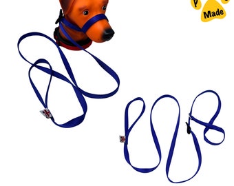 Paws Made Head Collar All in One Anti Pull Lead Leash Figure of 8