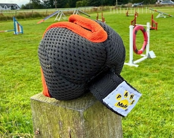 Paws Made Grab Loop Paws Pocket Dog Treat Ball