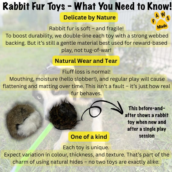 The Original Clone Rabbit Fur Tennis Ball For Dog Training - Realistic Gundog & Puppy Training Dummy