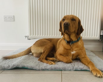 Pawstrading 犬用獣医用マットベッド グレー グリーン裏地 寝具 ケージブランケット 湿気を吸い取ります