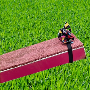 Paws Made™ Candy Catch Diver Package - Great Contact Trainer Agility Training Treat Reward