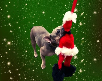 Paws Made Christmas Edition - Jingle Balls - Festive Dog Toy Tug