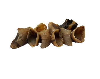 Natural Dried Cow Hooves – Dog Treat Chew, Teeth Cleaning