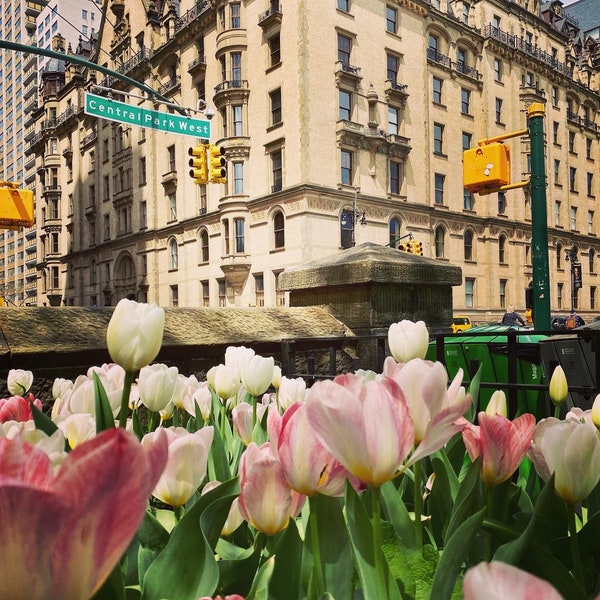 Spring on Central Park West, New York City, NY | NYC Print | New York City Gift | NYC Street Photography | Unique New York Wall Art